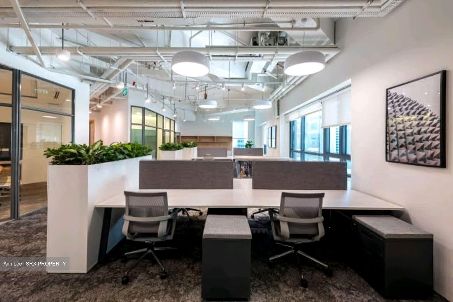 PLUS (D1), Office #559884761